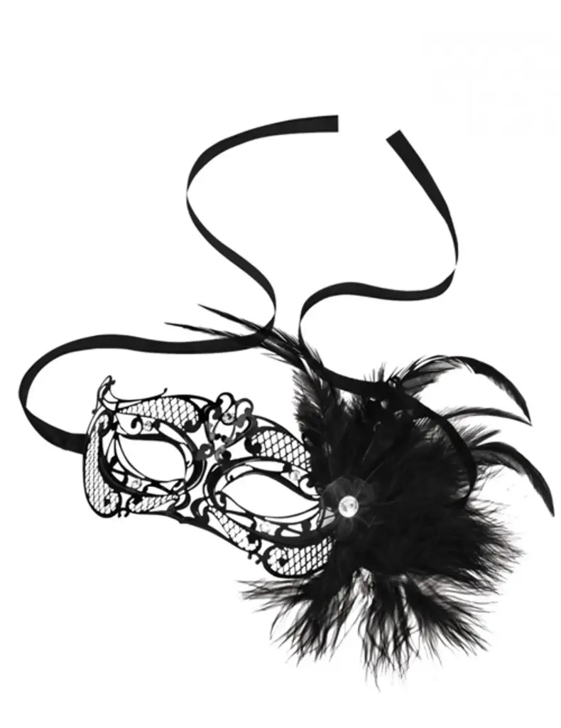 STEAMY SHADES Mardi Gras Masque